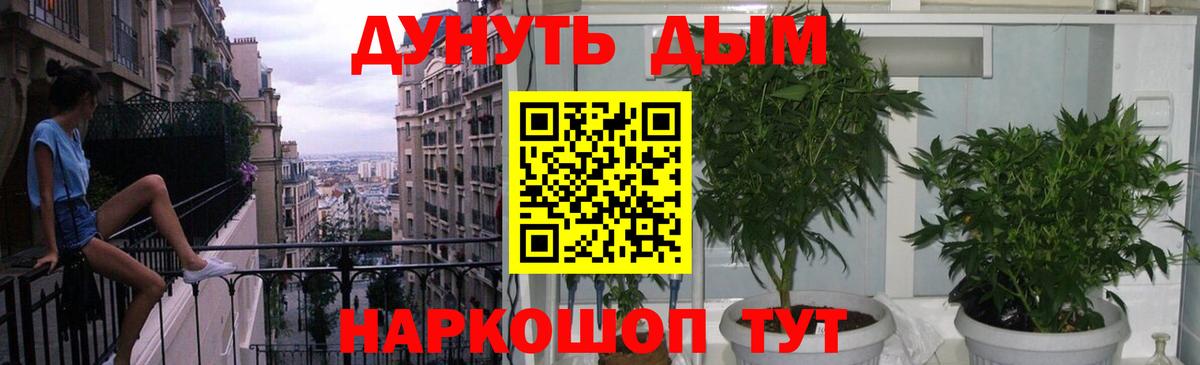 Конопля Ganja Знаменск